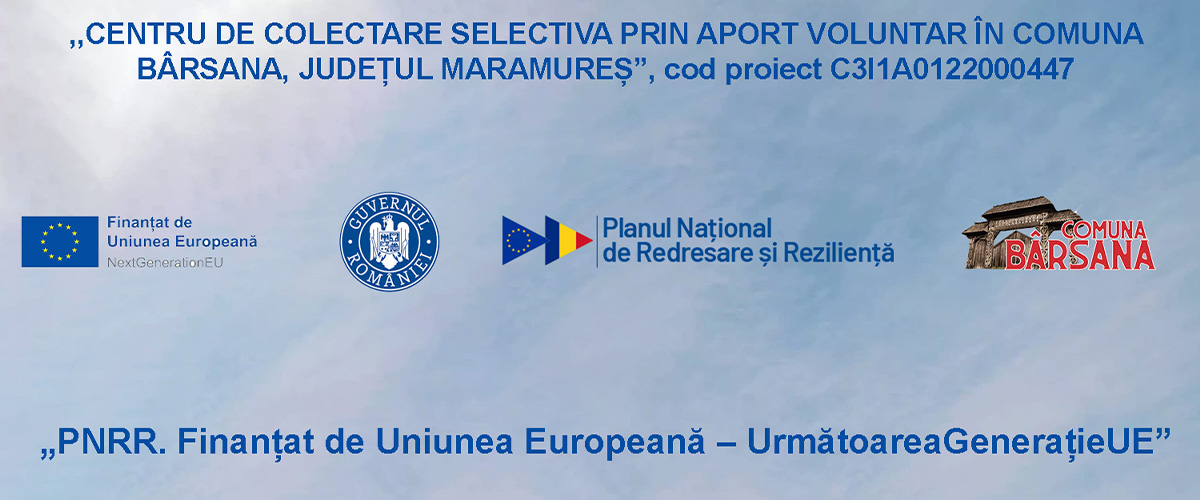 Despre Proiect