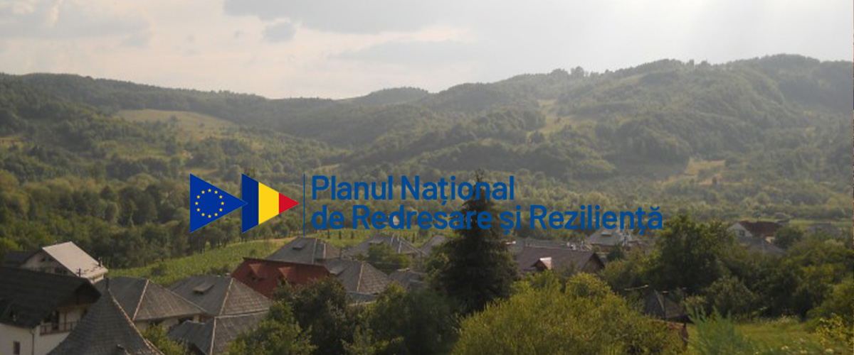 MAI MULTE INFORMATII